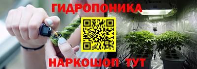 первитин Новозыбков