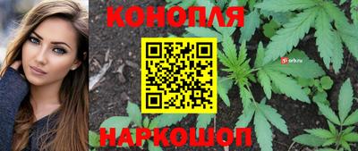 PSILOCYBIN Новокубанск